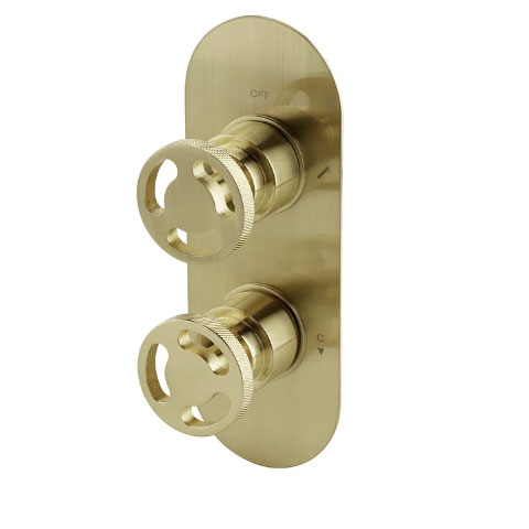Arezzo-Industrial-Twin-Shower-IS4BBPK